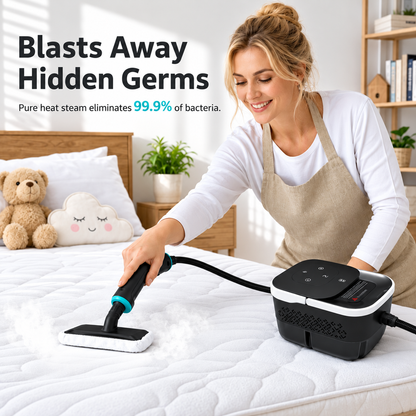 Multi-Purpose High-Pressure Steam Cleaning Machine with Large Water Tank
