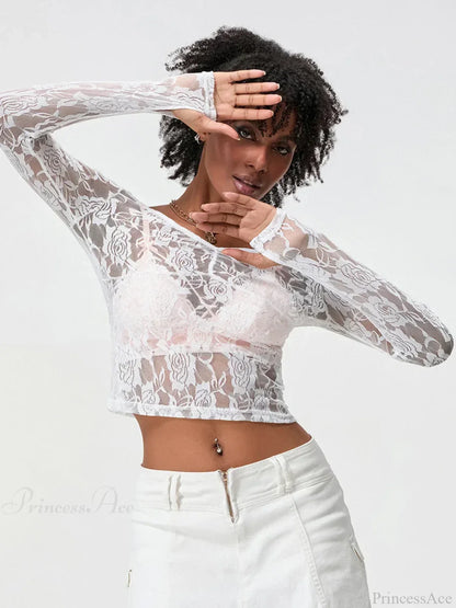 Sheer Lace Long Sleeve V-neck Mesh Crop T-shirt