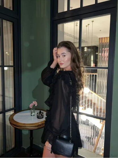 Sheer Lace Mesh Deep V Neck Blouse